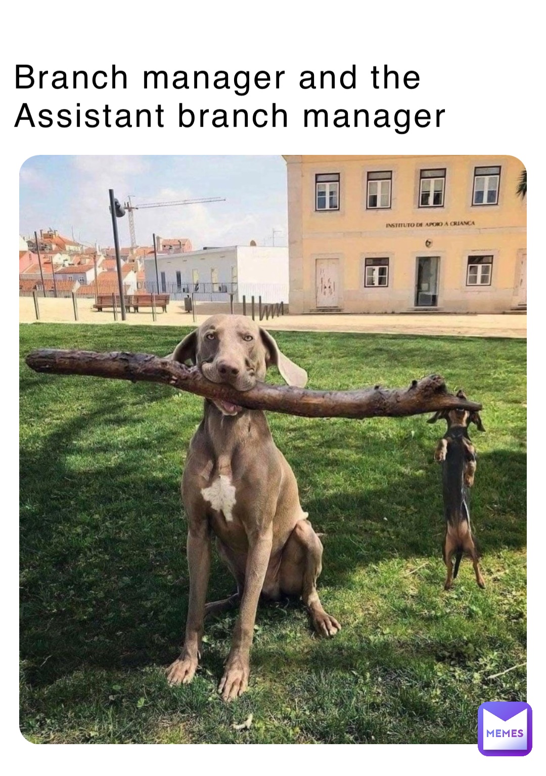 Branch manager and the Assistant branch manager