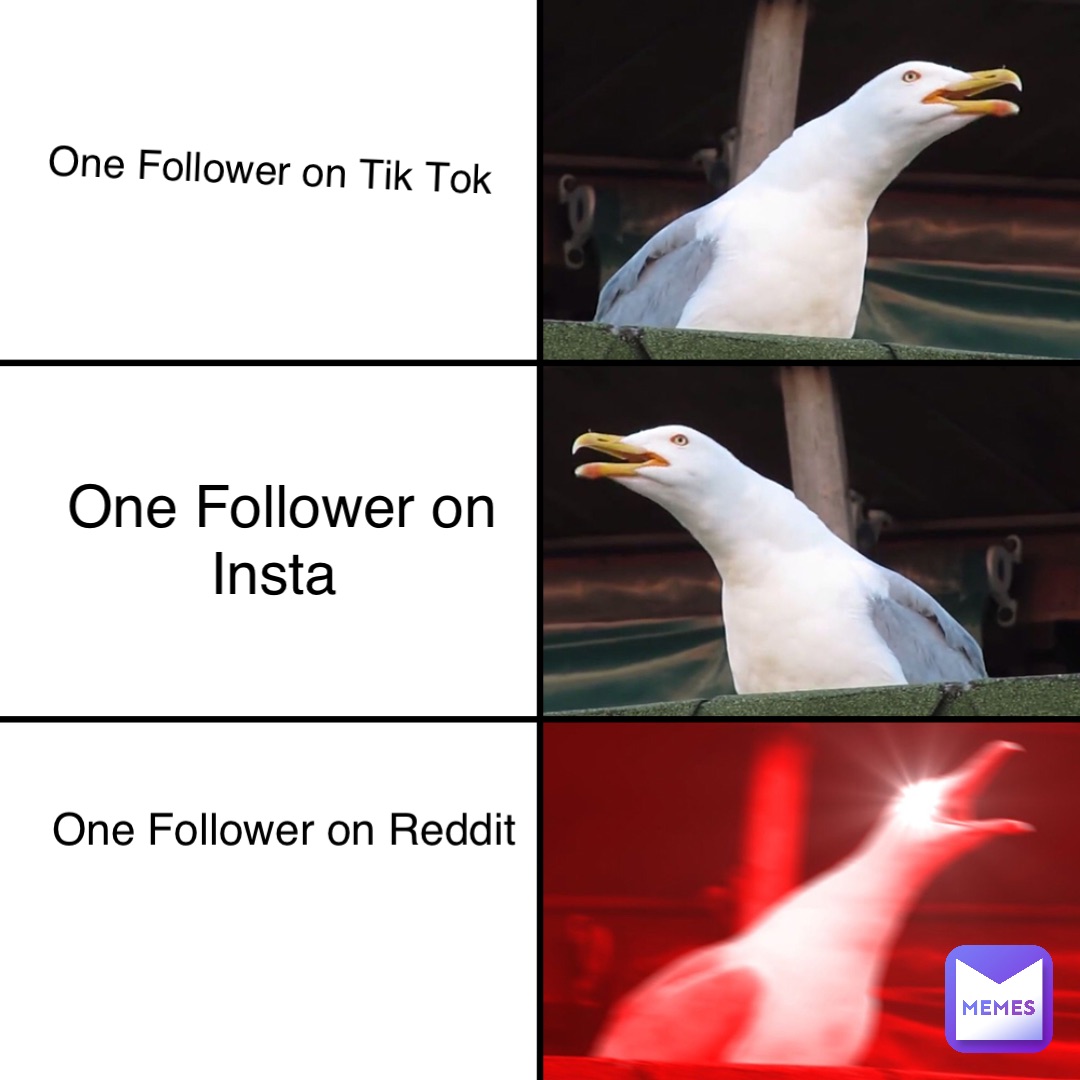 One Follower on Tik Tok One Follower on 
Insta One Follower on Reddit