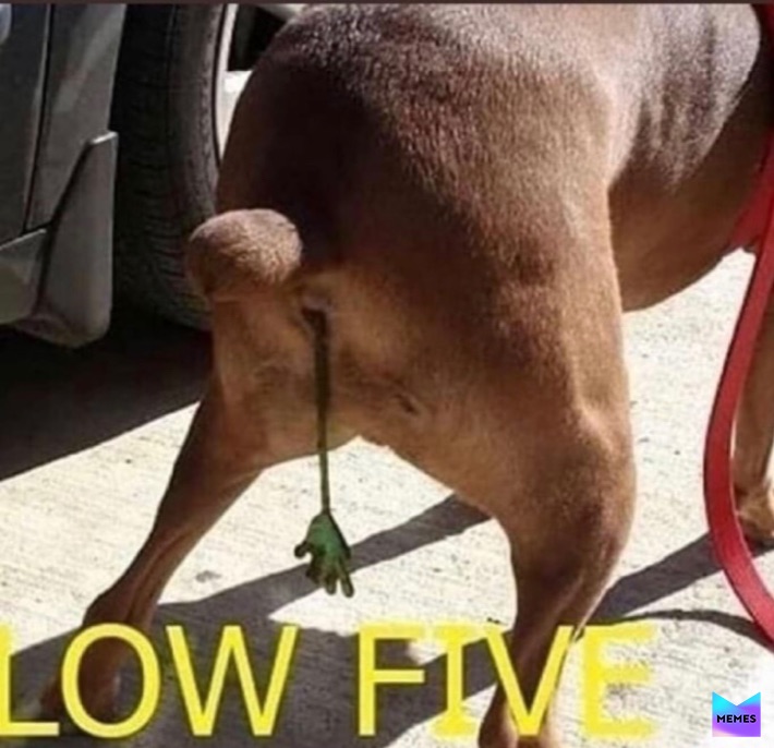 Meme by john_fortnite_kennedy