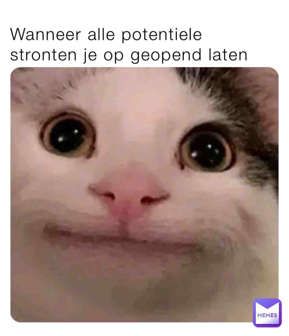 Meme preview