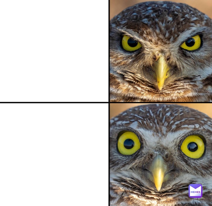 Meme by Bananaboy173