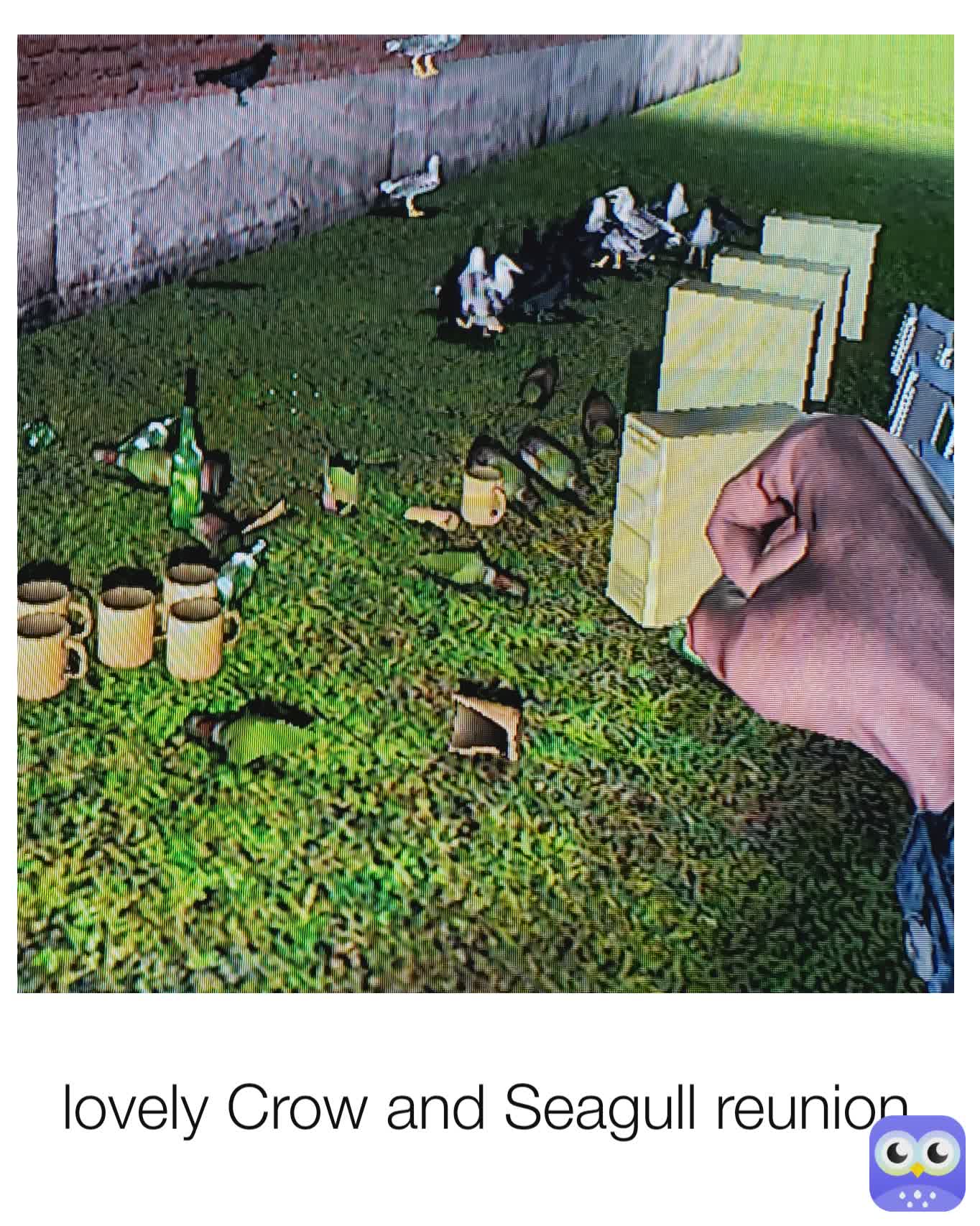 Meme by Astrological