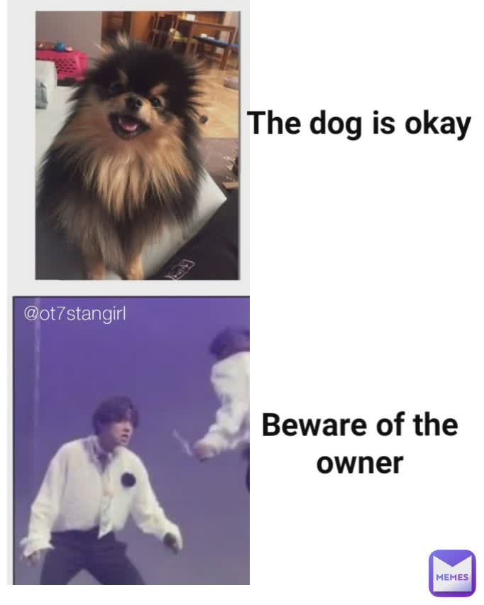 @ot7stangirl The dog is okay







Beware of the owner