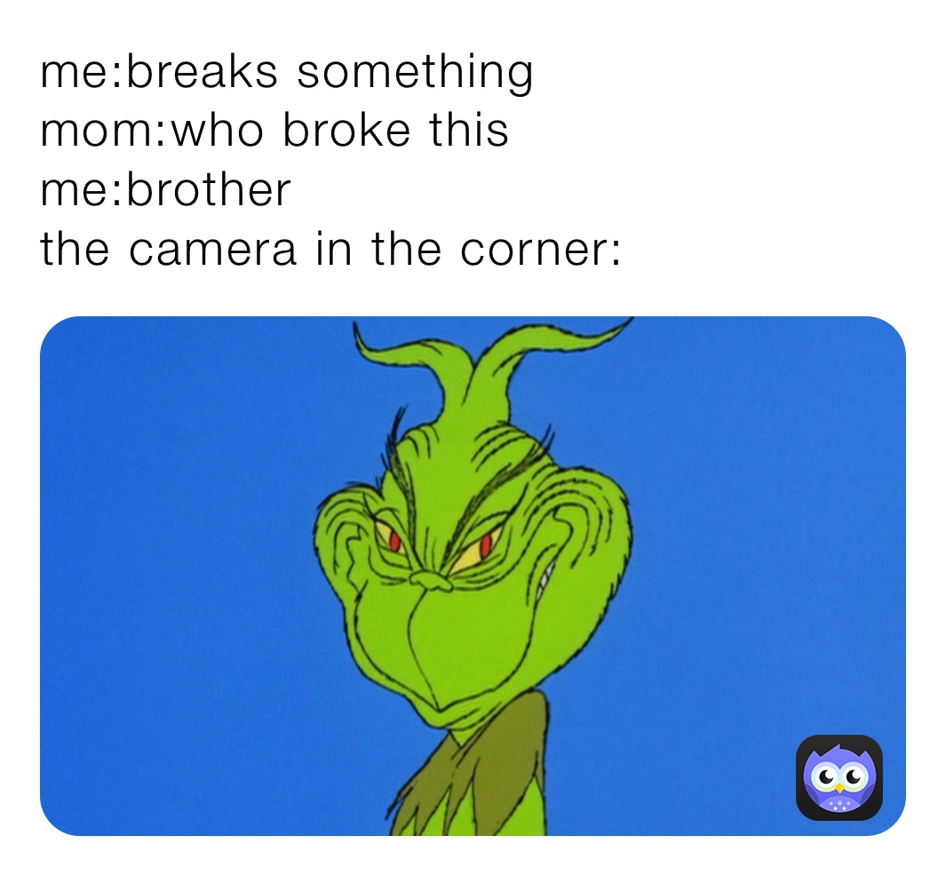 me:breaks something
mom:who broke this
me:brother
the camera in the corner: