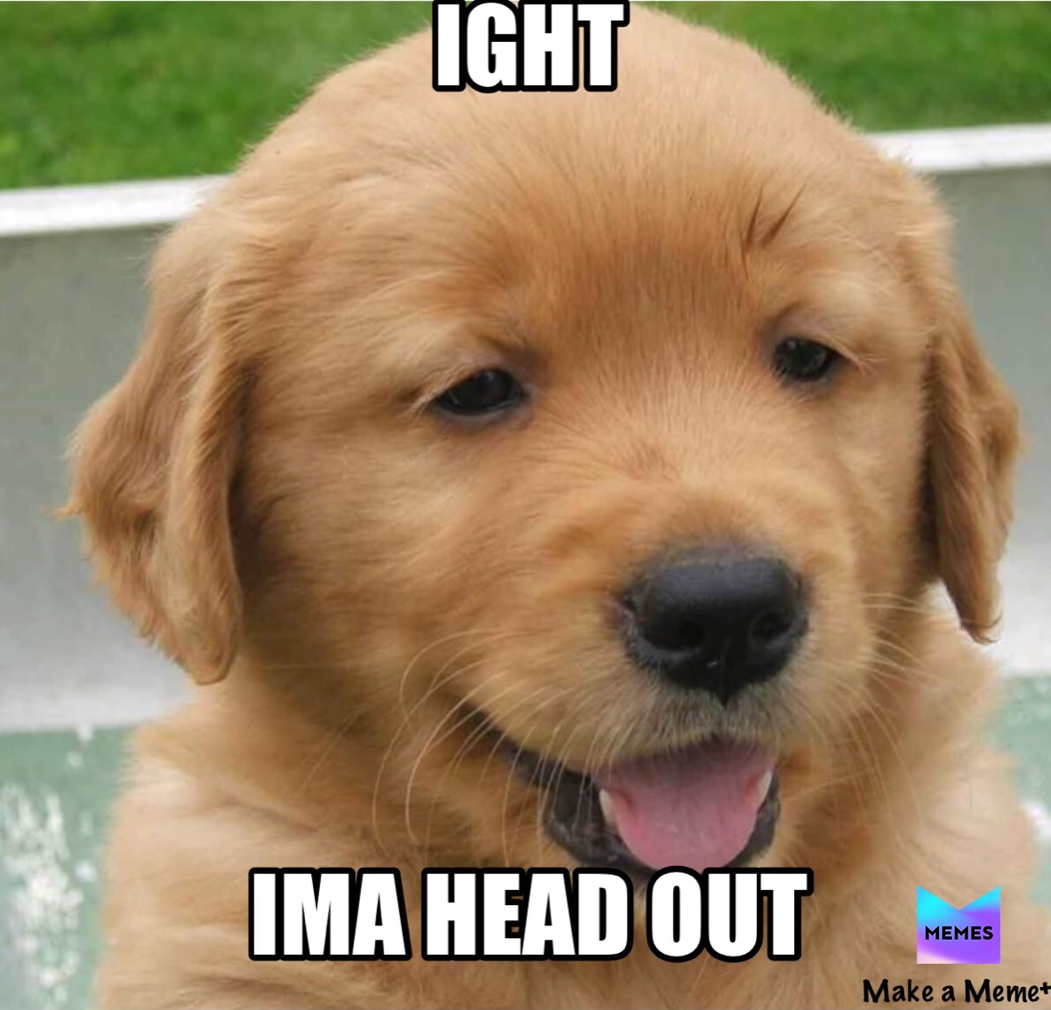 Meme by xxmemelord_69