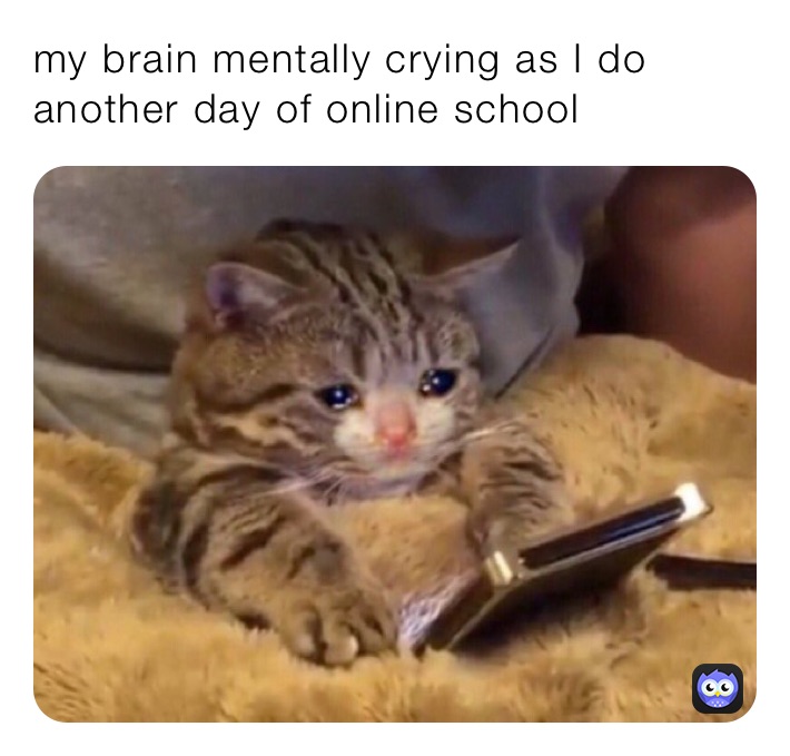 my brain mentally crying as I do another day of online school 