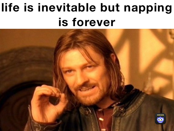life is inevitable but napping is forever 