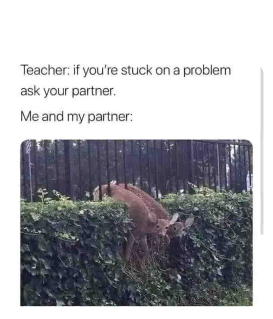 Meme shared by @VIP.b0t_c4
