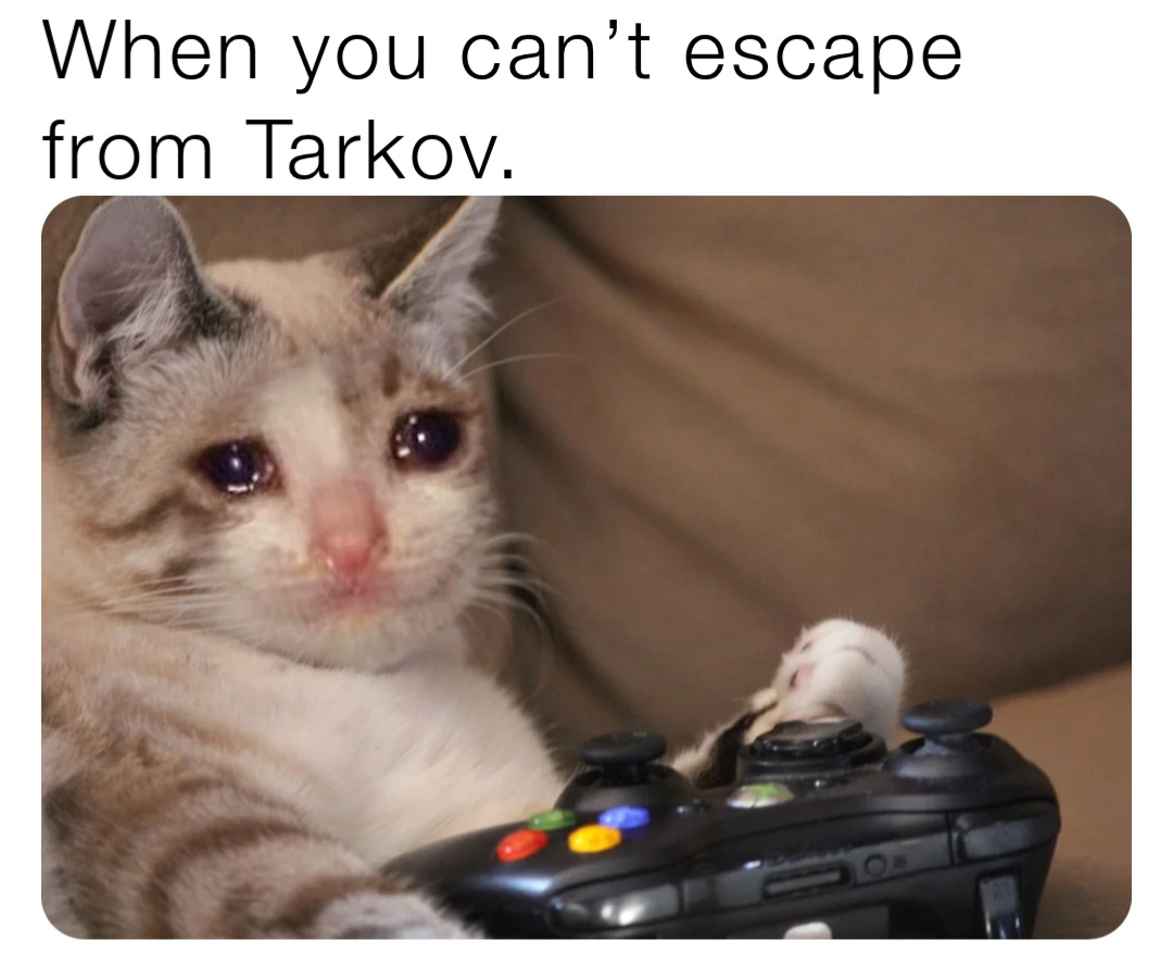 When you can’t escape from Tarkov.