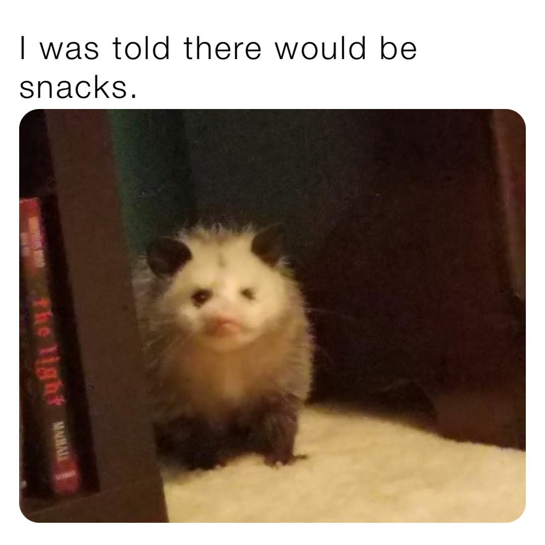 I was told there would be snacks.