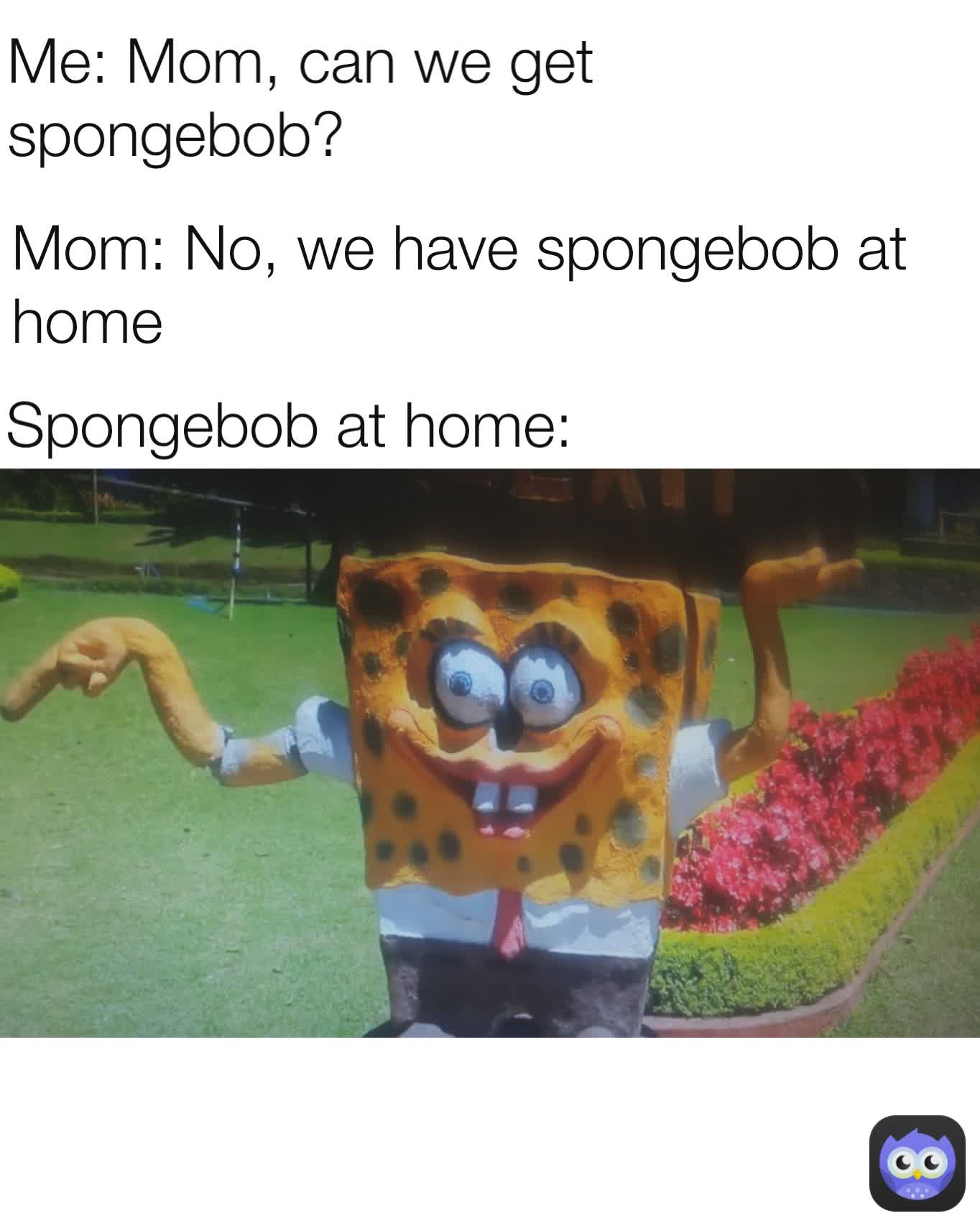 Spongebob at home: Me: Mom, can we get spongebob? Mom: No, we have spongebob at home