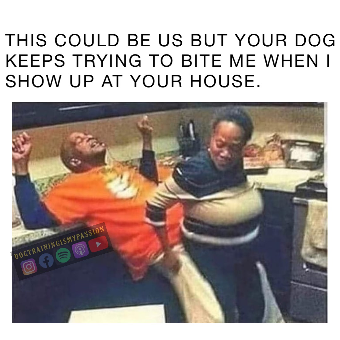 This could be us but your dog keeps trying to bite me when I show up at  your house. | @respectthek9 | Memes