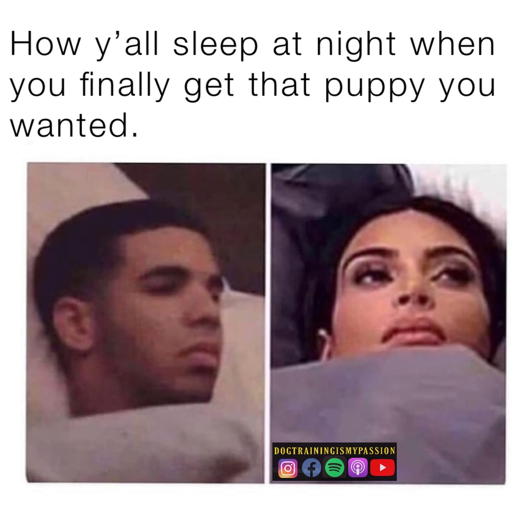 How y’all sleep at night when you finally get that puppy you wanted.