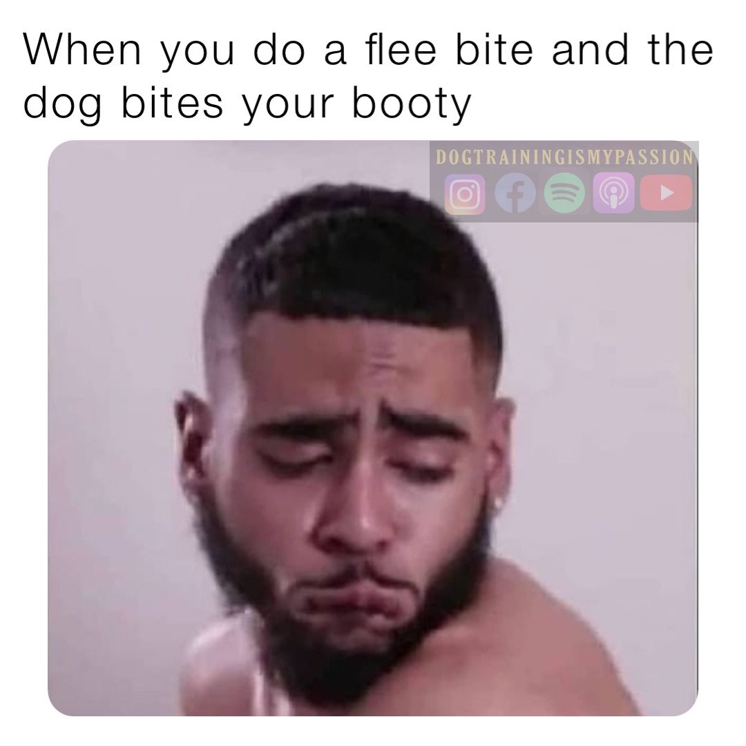 When you do a flee bite and the dog bites your booty
