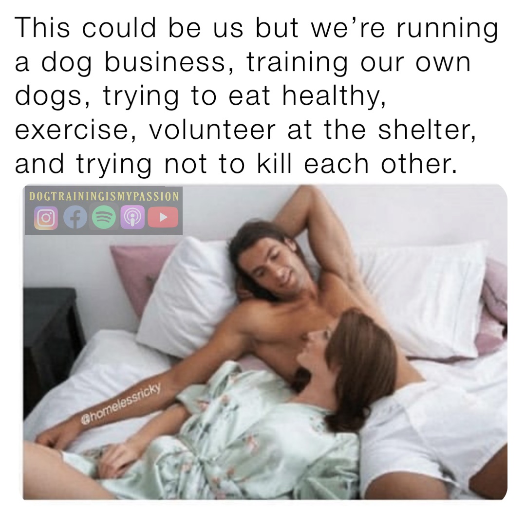 This could be us but we’re running a dog business, training our own dogs, trying to eat healthy, exercise, volunteer at the shelter, and trying not to kill each other.