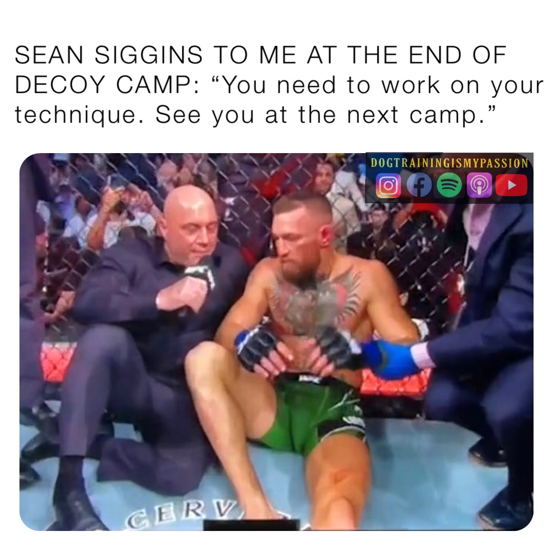 SEAN SIGGINS TO ME AT THE END OF DECOY CAMP: “You need to work on your technique. See you at the next camp.”