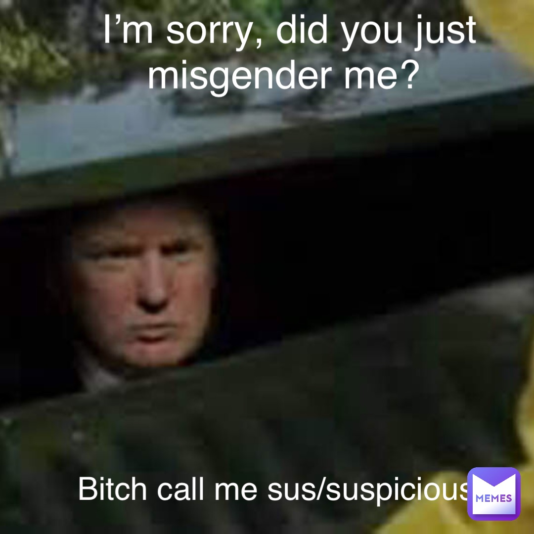 I’m sorry, did you just misgender me? Bitch call me sus/suspicious
