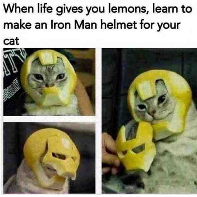 Meme shared by @Th5Nexus