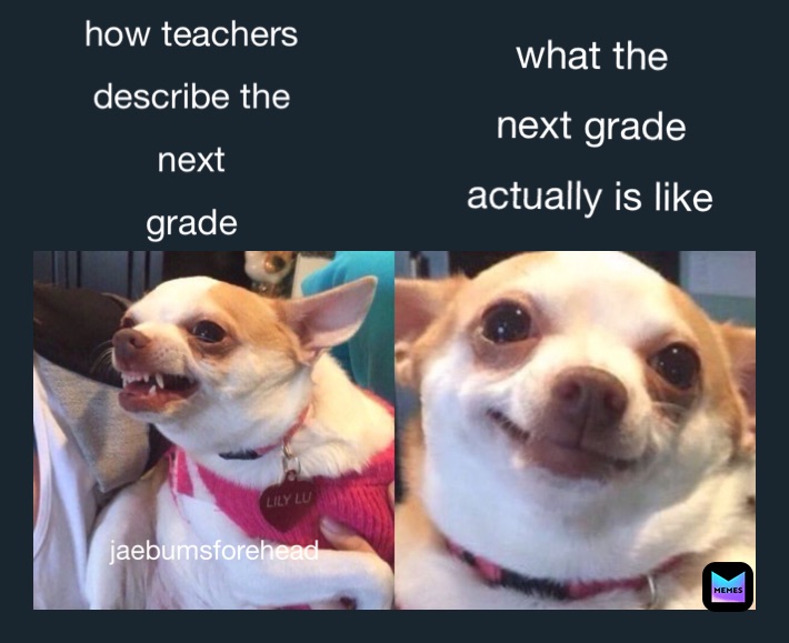 Math is the only exception. Quadratic equations are horrible- / #memes