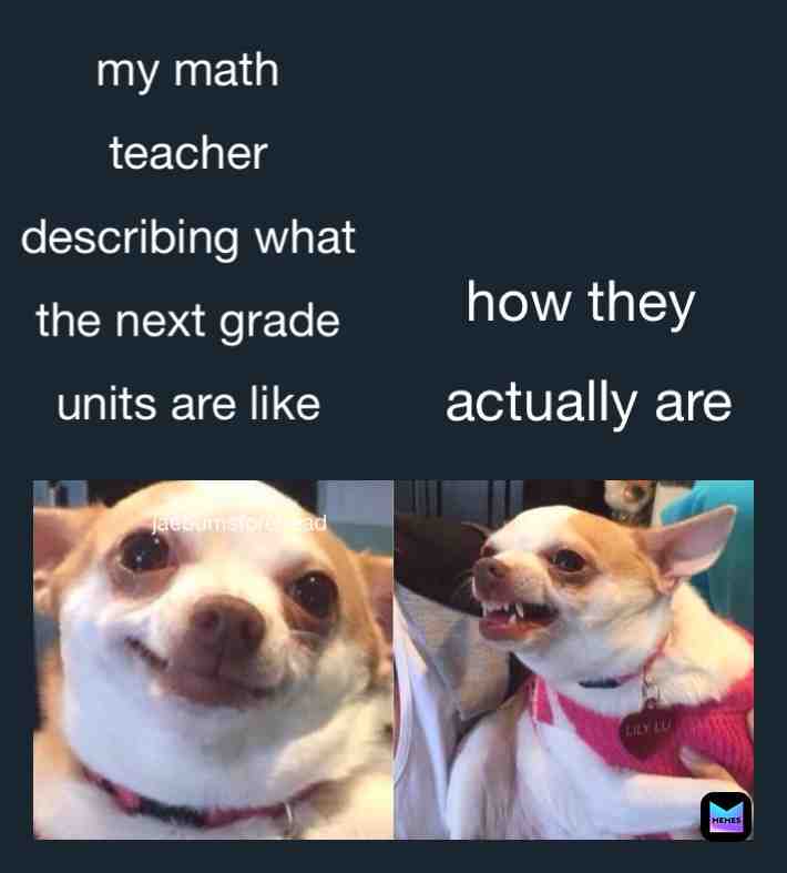 ππ / #memes