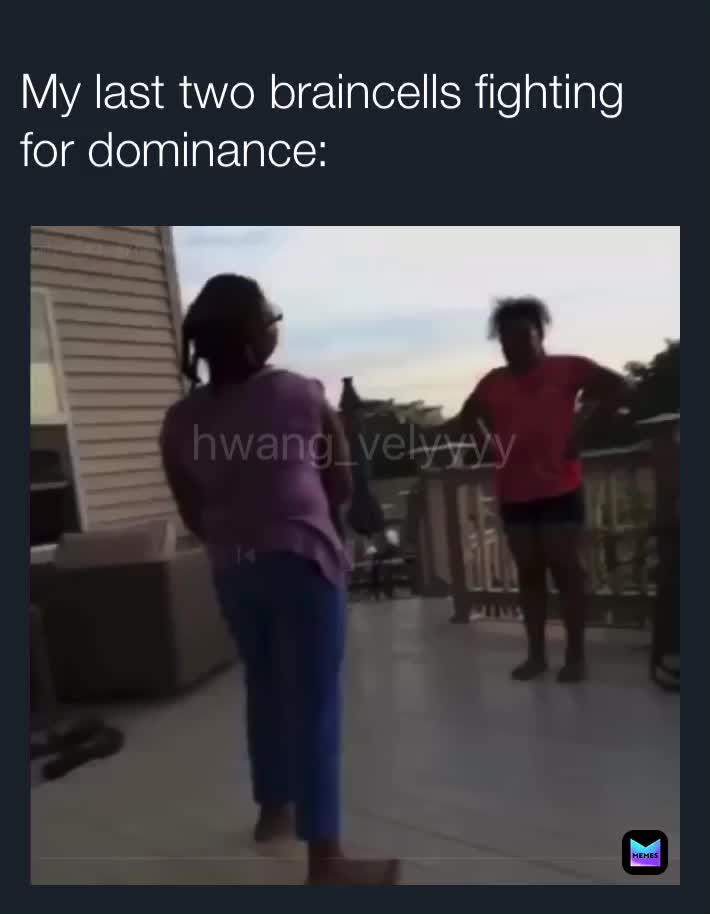 #memes  #shitpost  #vines  #videos
This vine made me laugh so hard