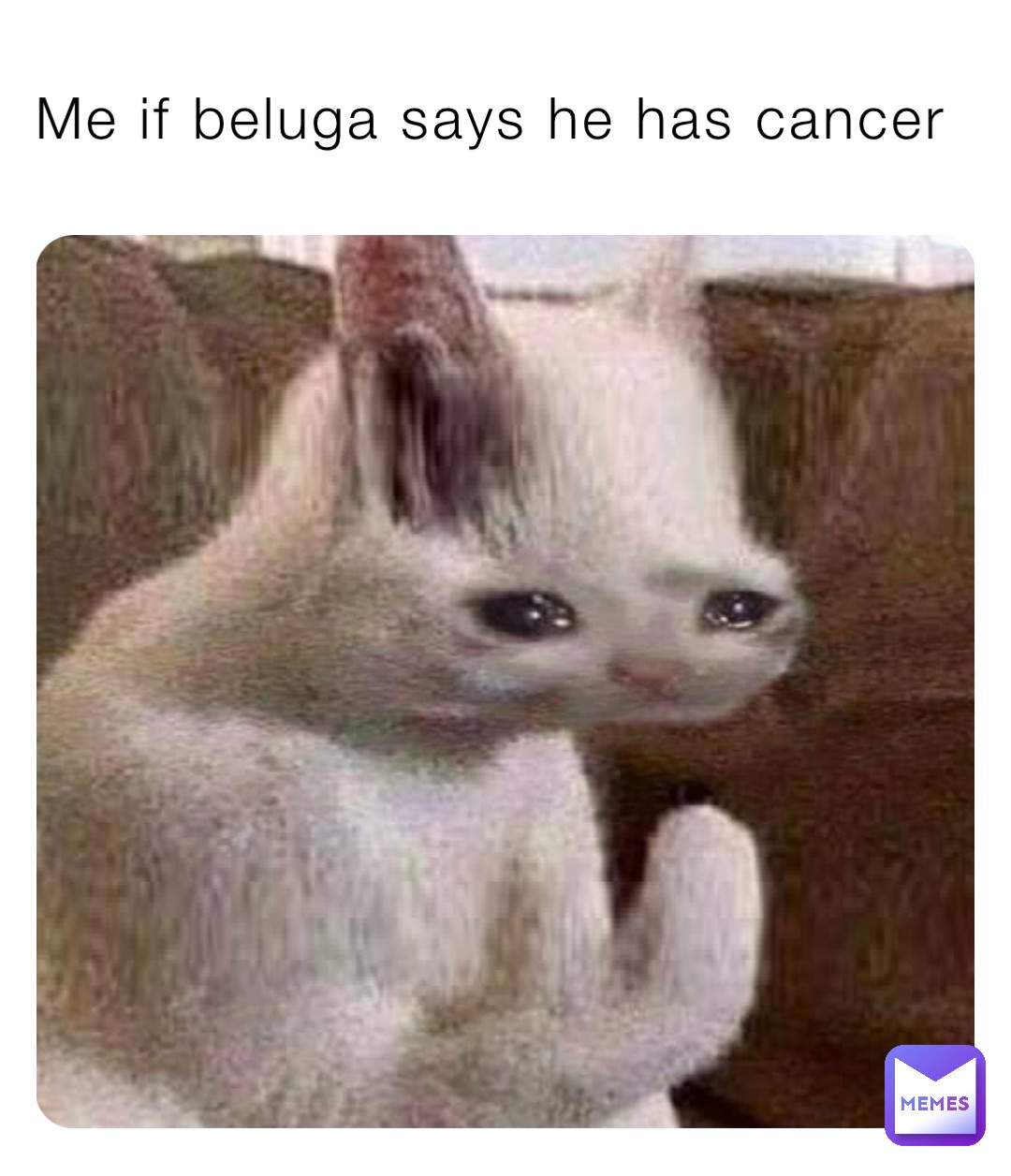 Me if beluga says he has cancer