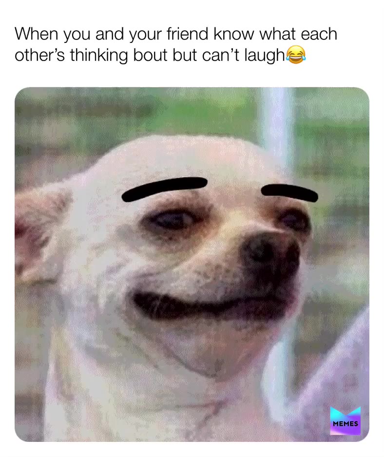 Busted Meme