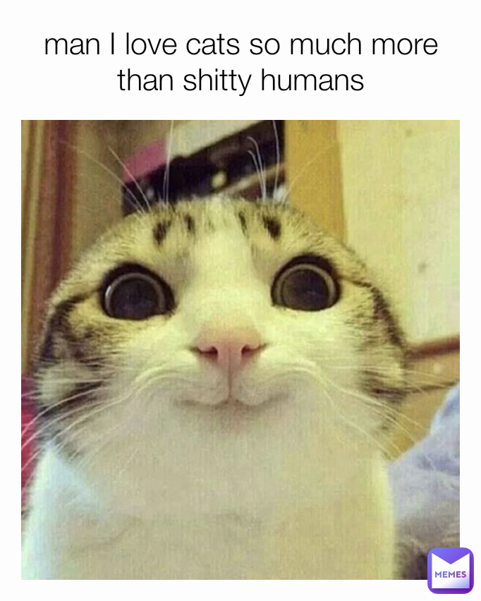 man I love cats so much more than shitty humans