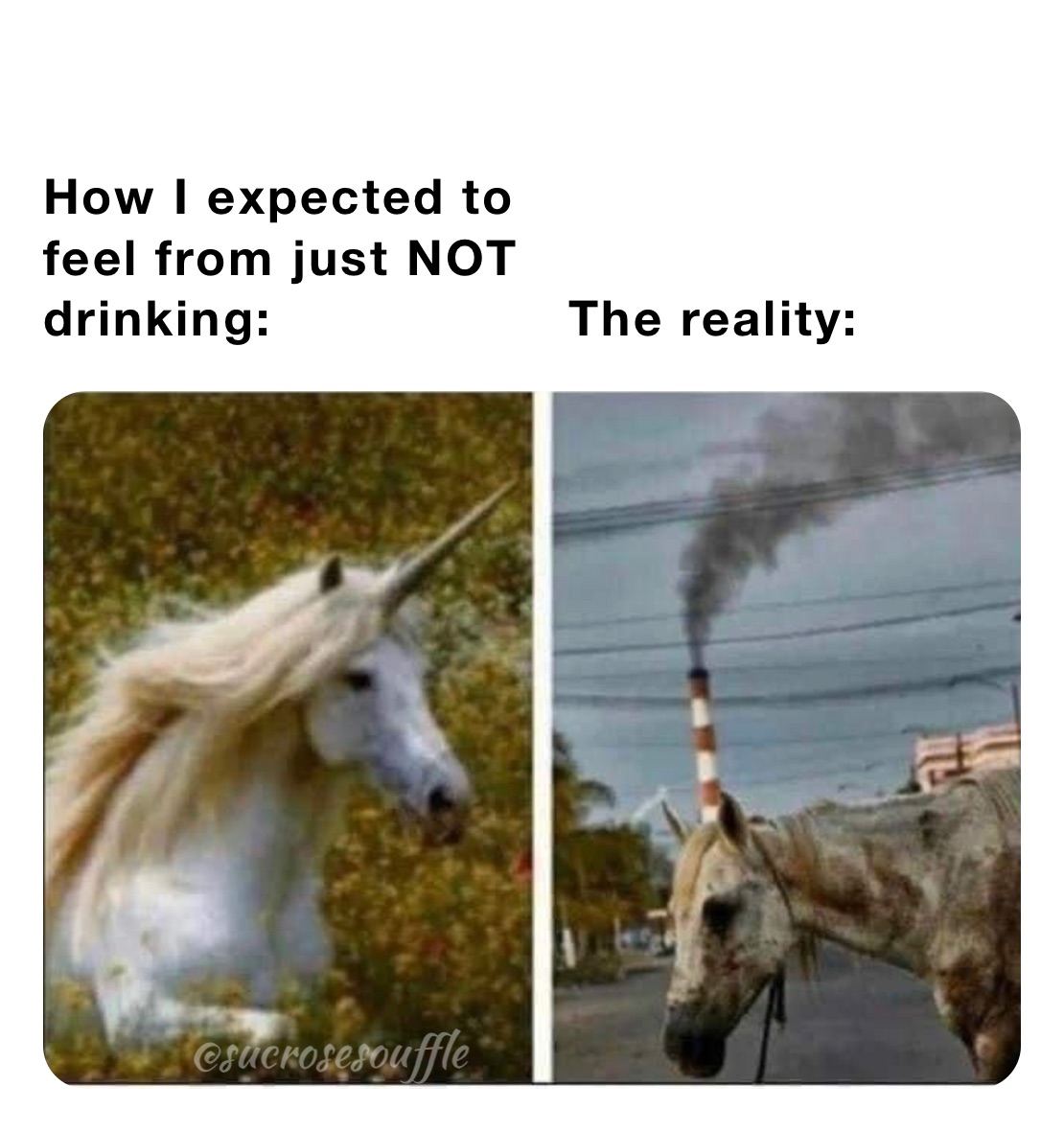 

How I expected to 
feel from just NOT  
drinking:                  The reality:  