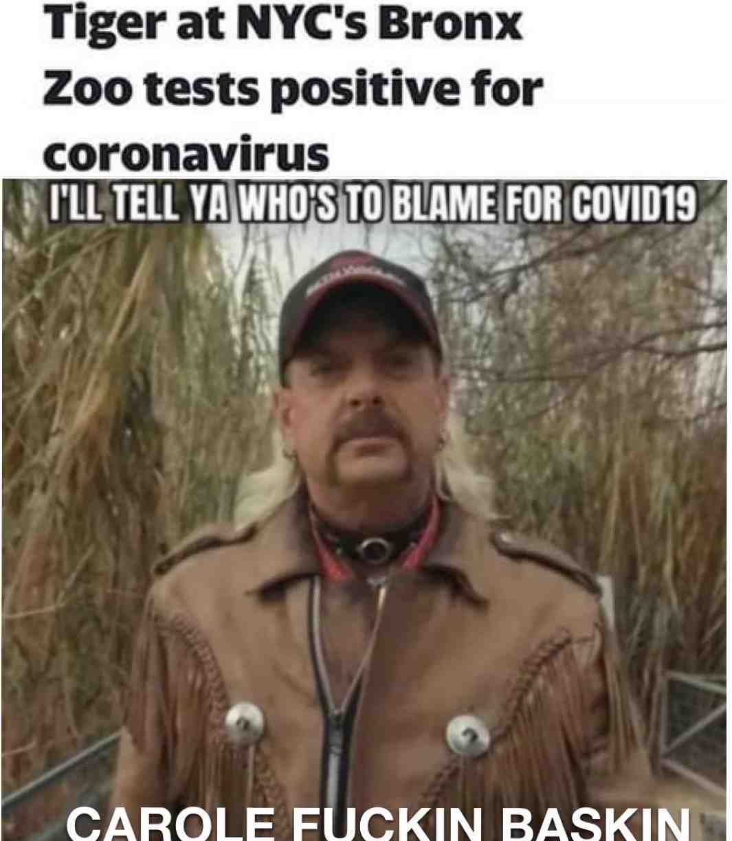 #tigerking #covid19 #memes #quarantine #carolebaskin