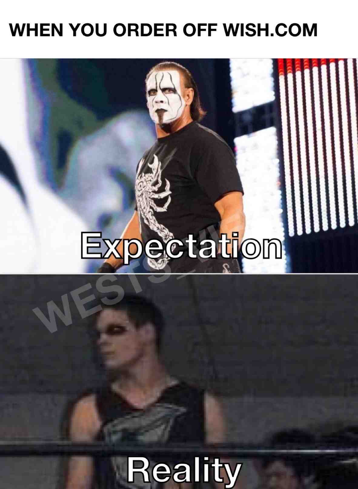 It never looks the same when ordering #covid19 #memes #quarantine #wrestlingmemes #wish