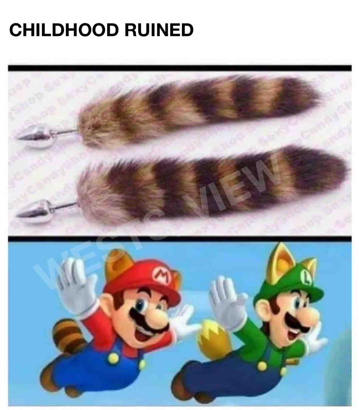 That moment your #childhood gets ruined! But the largest question...what make it rotate 🧐 #Mario #covid19 #quarantine #memes #nes