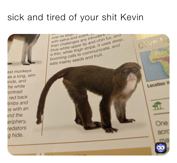 sick and tired of your shit Kevin 