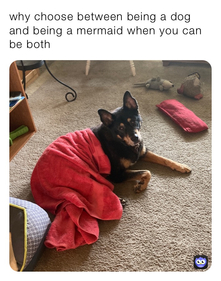 why choose between being a dog and being a mermaid when you can be both 