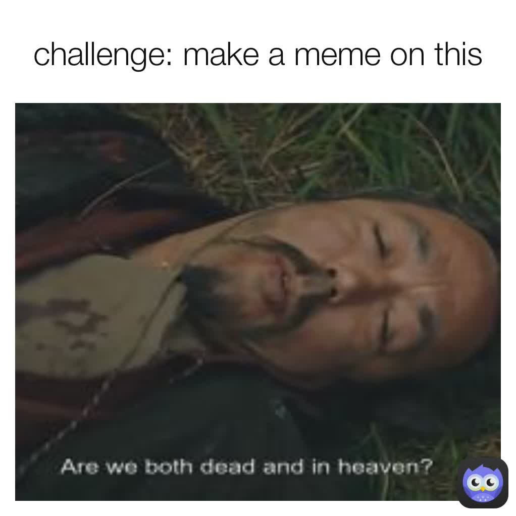 challenge: make a meme on this