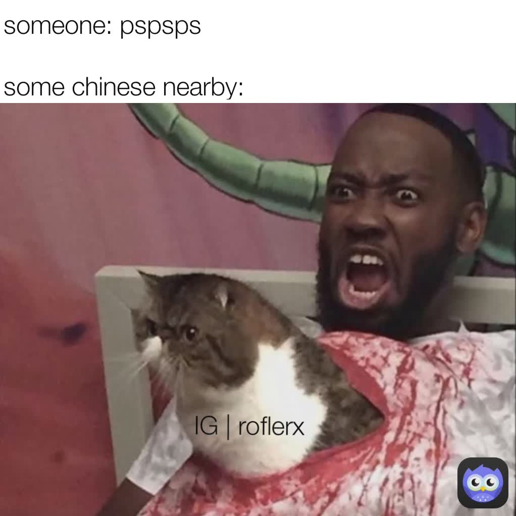 Meme by hamzakashif2003