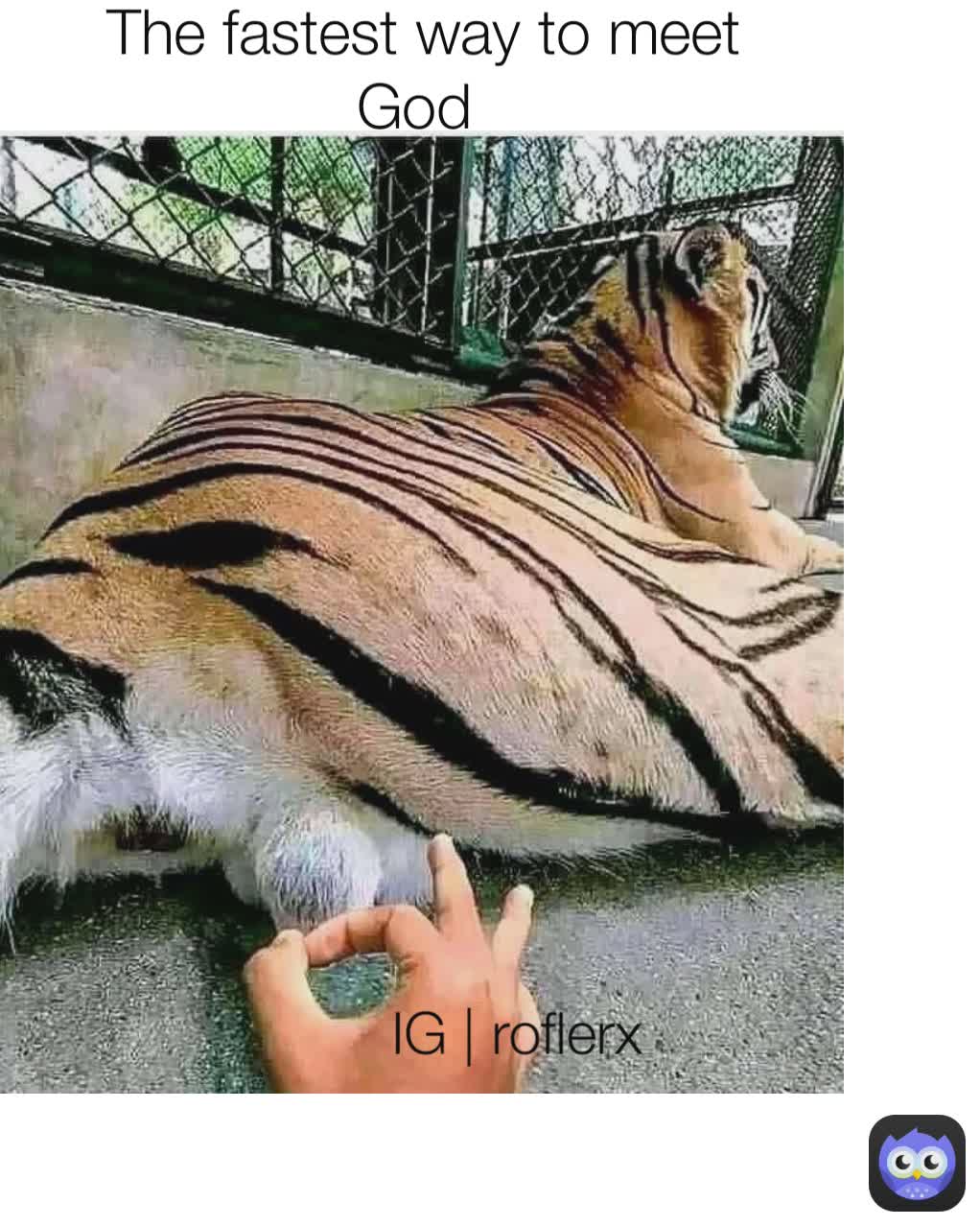 Meme by hamzakashif2003