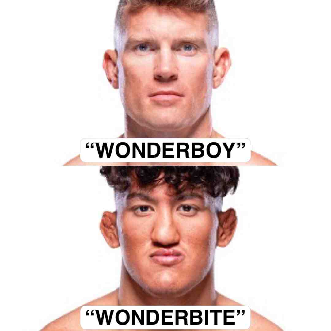 #ufc  #raulrosasjr  #meme  #viral  #mma  #wonderboy  #wonderbite