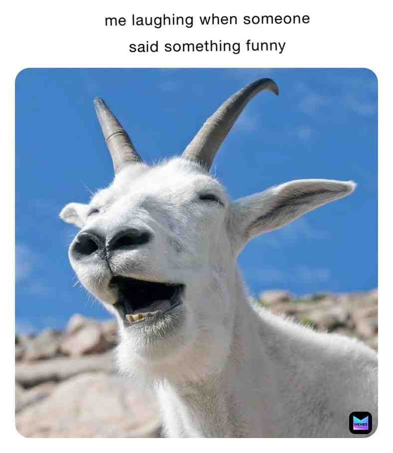 No caption