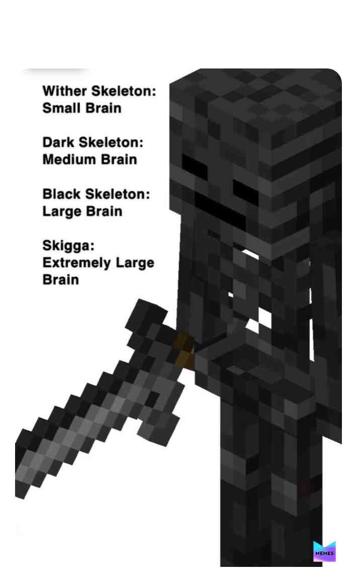 S k i g g a