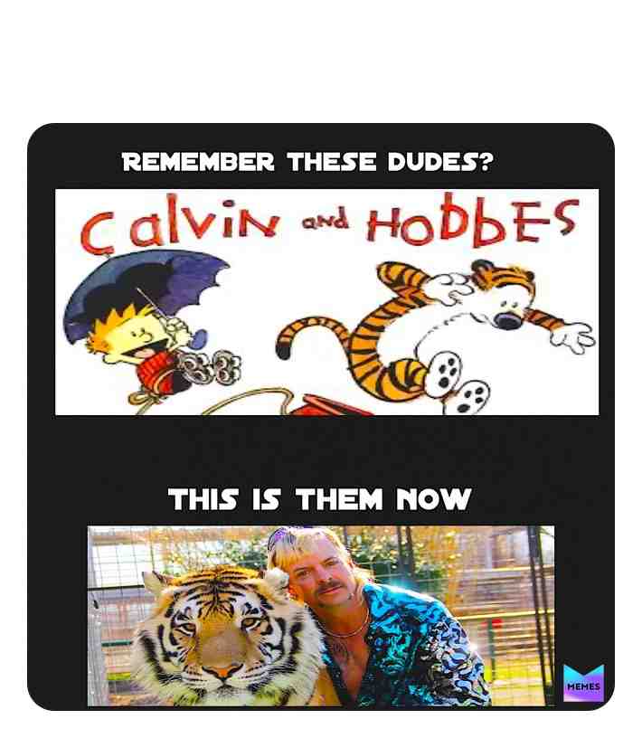 Rip bois