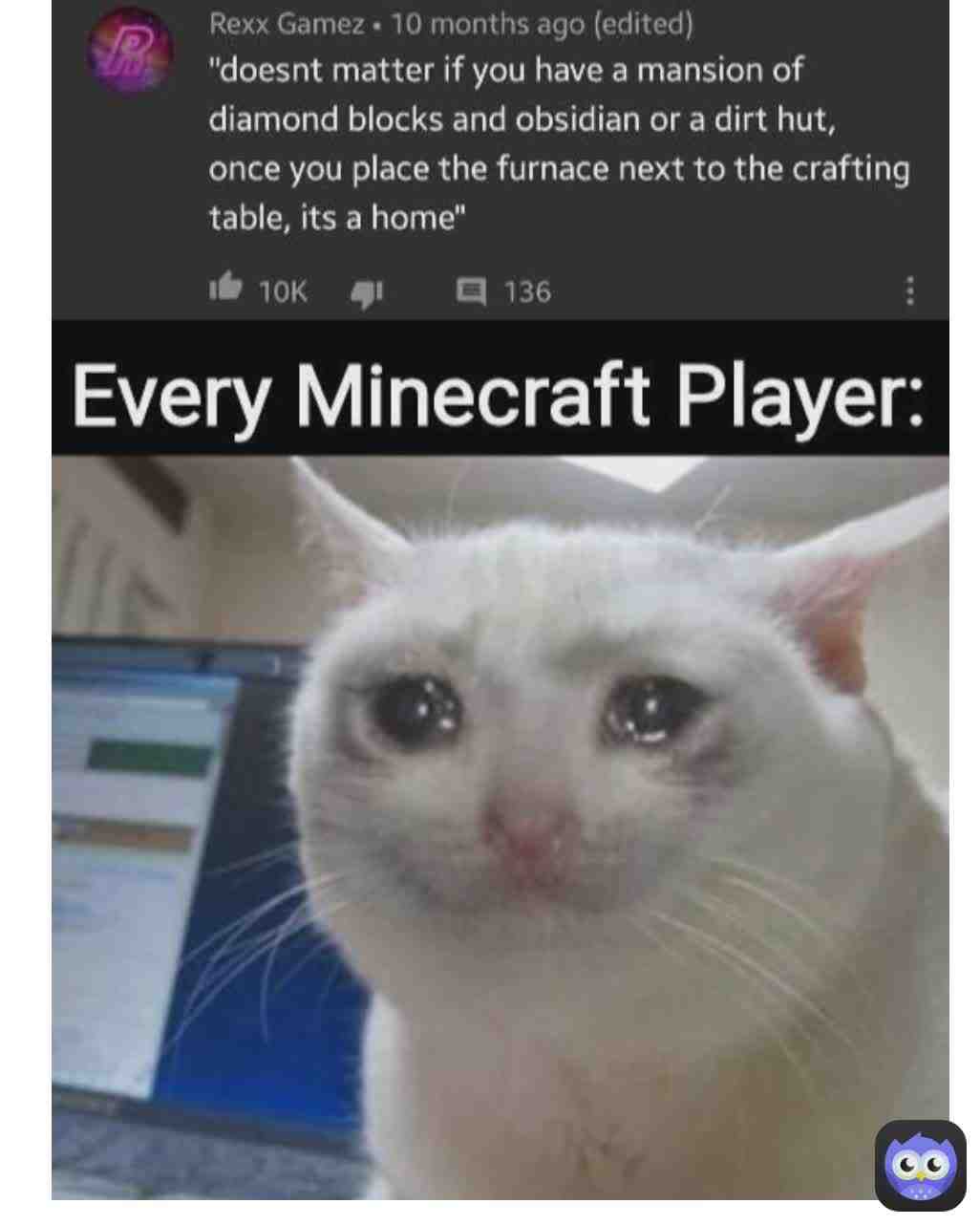 More memes