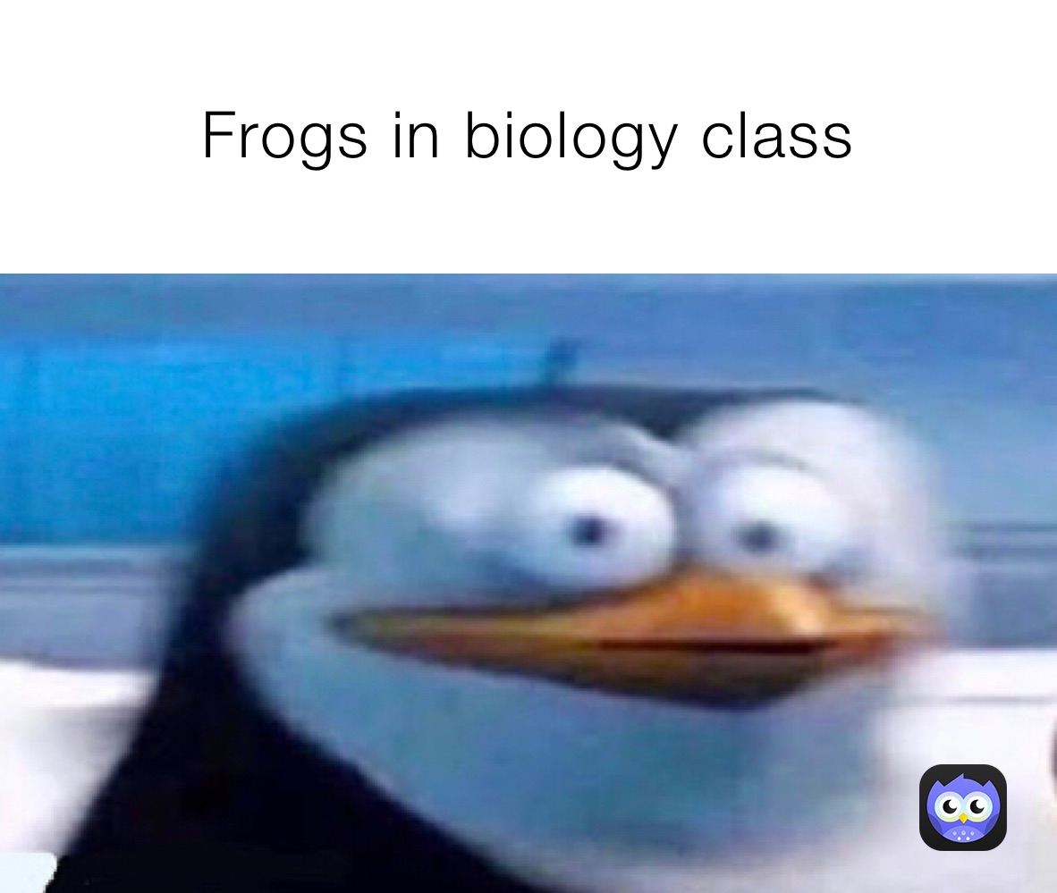 Frogs in biology class