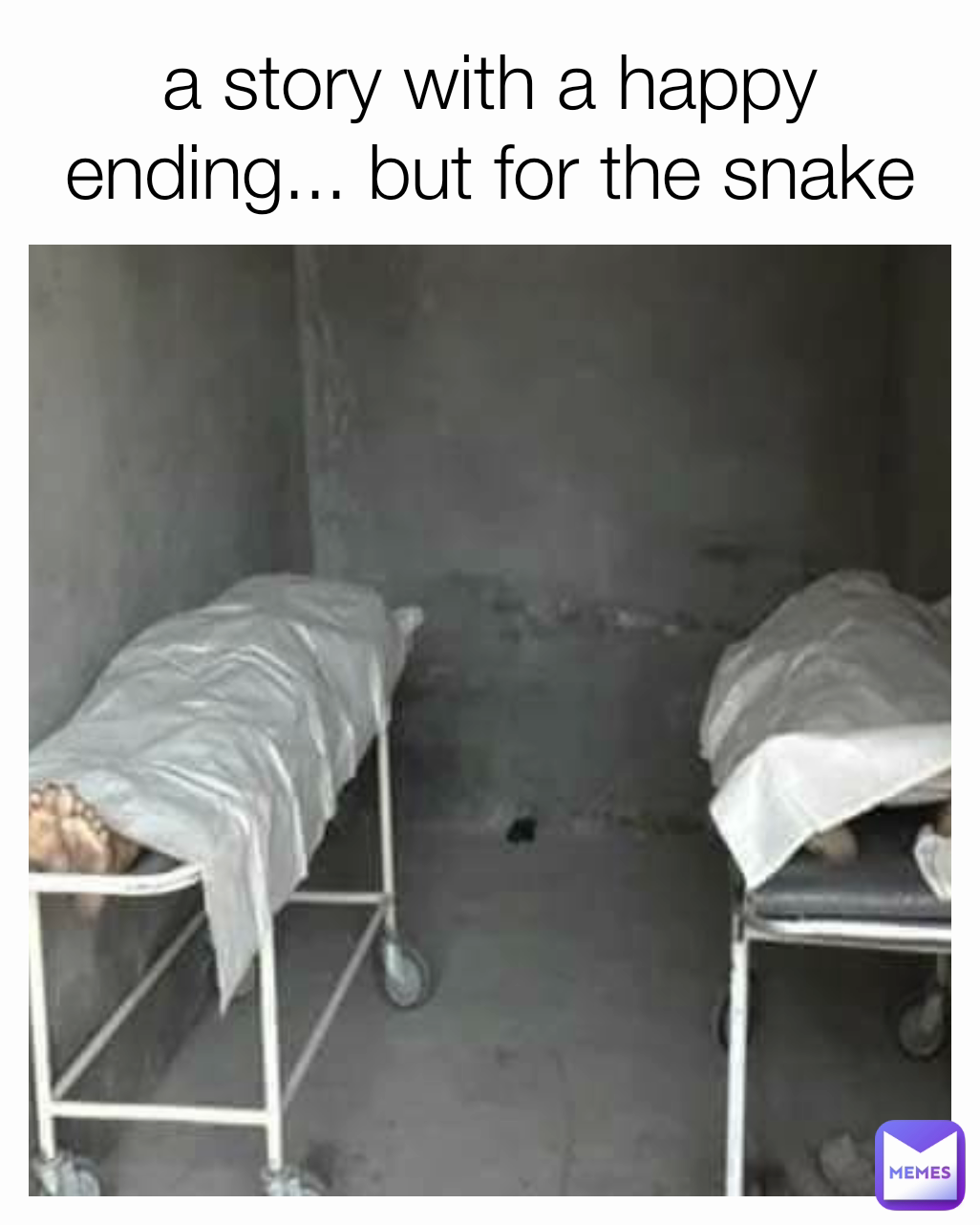 a story with a happy ending... but for the snake