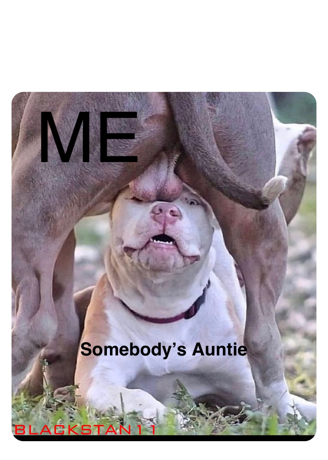 Double tap to edit ME Somebody’s Auntie