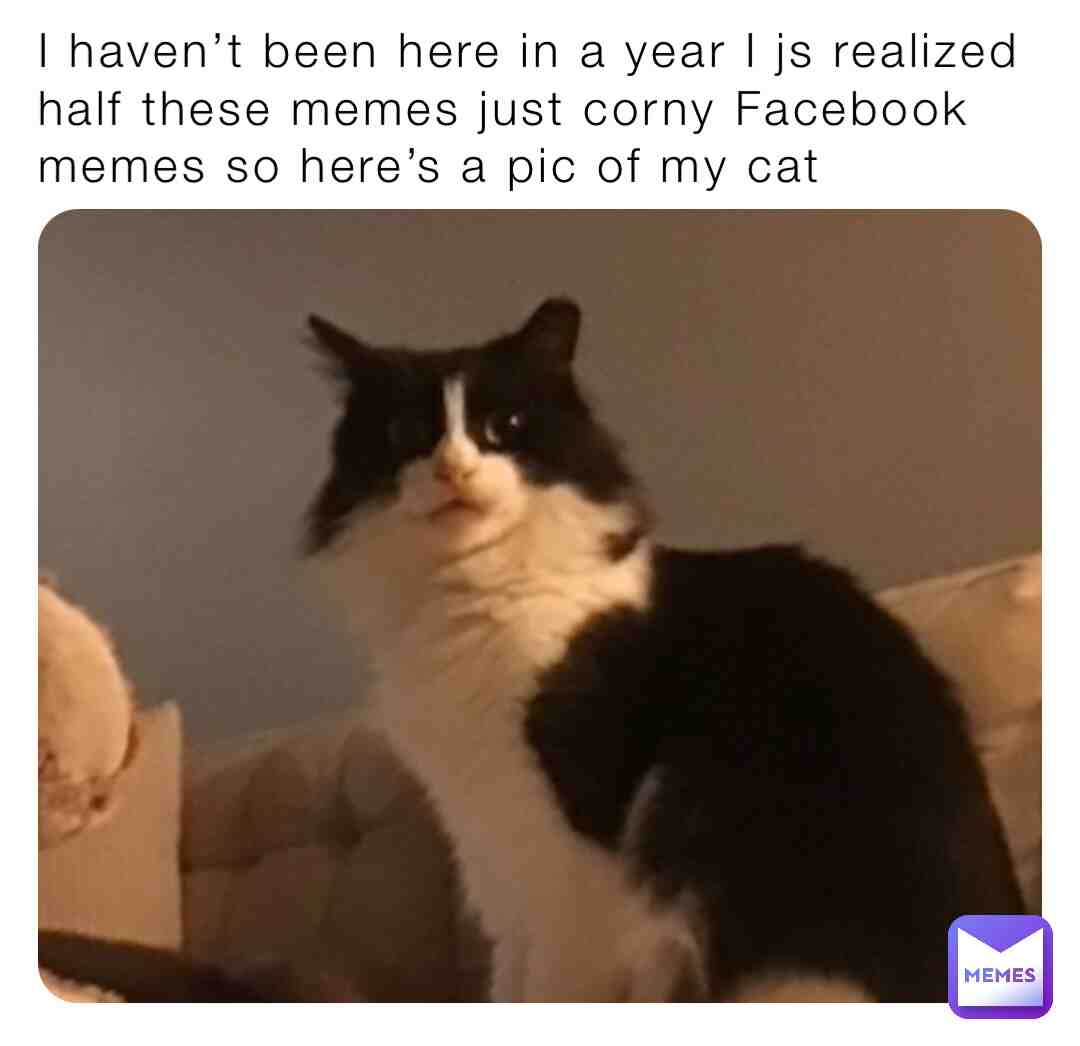 Meme preview