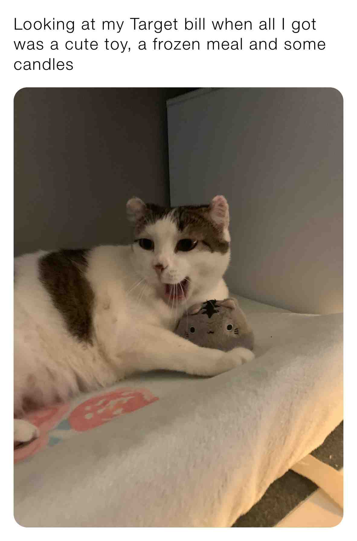 Meme shared by @TO_Biasiolli