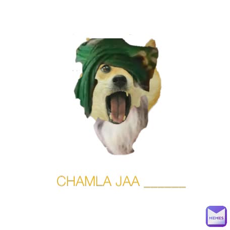 CHAMLA JAA ______