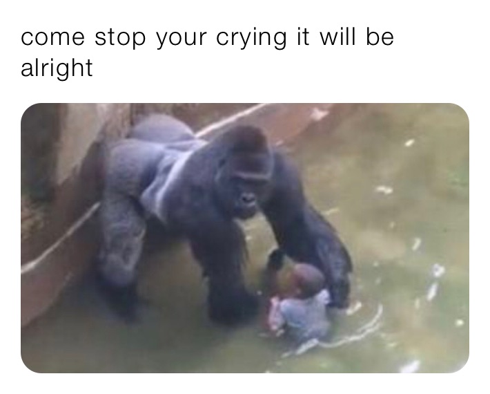 Meme by bessiejw10169