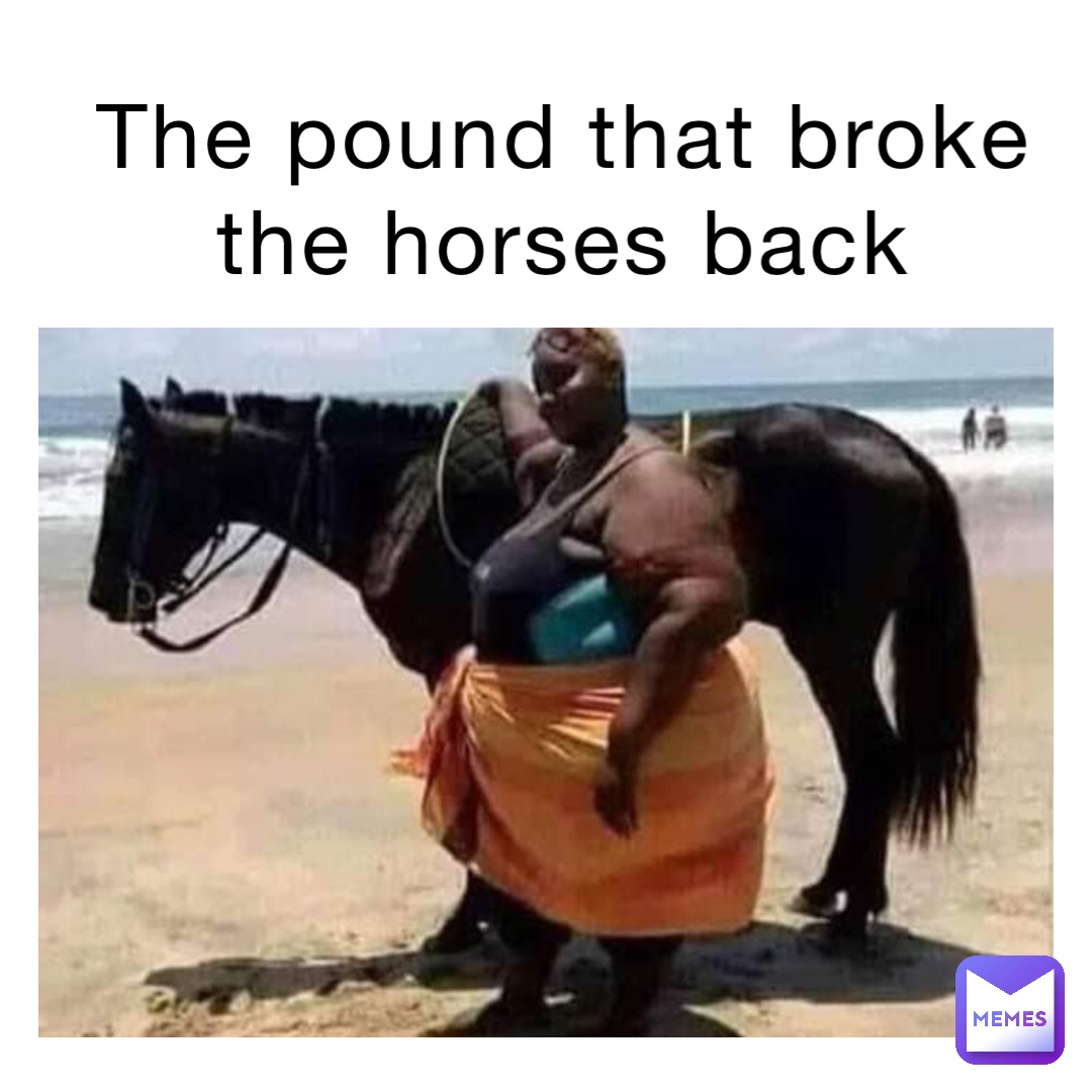 The pound that broke the horses back